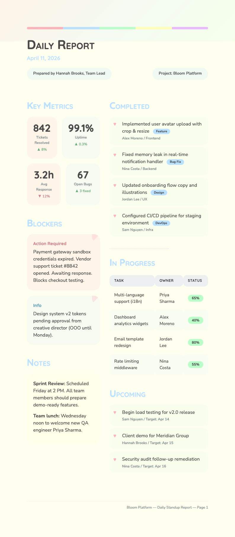 Pastel soft daily report